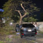 昨天,在金边发生了一辆由醉酒司机驾驶的汽车撞向路边的树木-博彩交流-博彩策略-博彩论坛